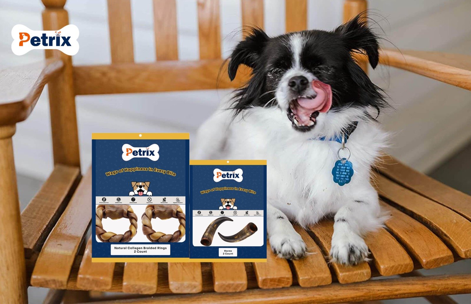 How Dog Chews Can Help Prevent Destructive Chewing Behavior